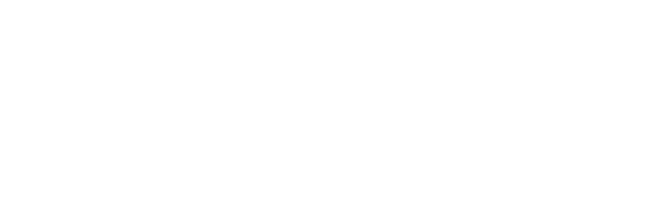 Palvin Organics